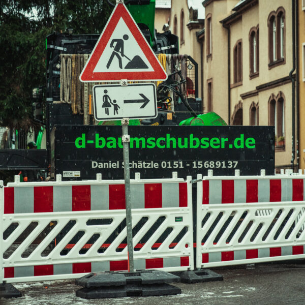 Kranfällung Baumschubser-3