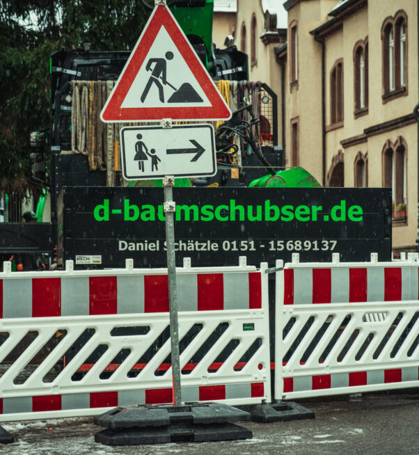 Kranfällung Baumschubser-3