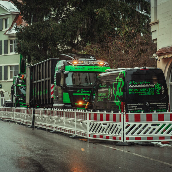 Kranfällung Baumschubser